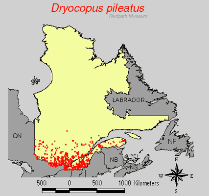 distribution map.jpg