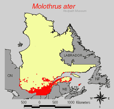 distribution map.jpg