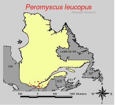 distribution map.gif