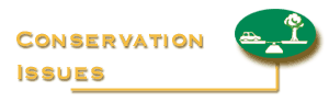 Back to Conservation mainpage