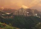 spectacular, species-poor landscape