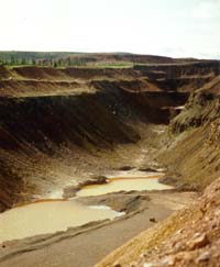 Altération des habitats