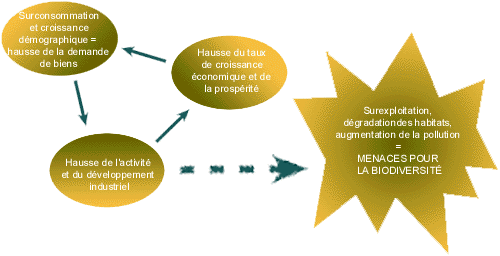 Incidences
