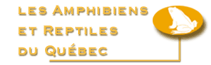 amphibien et reptiles.gif