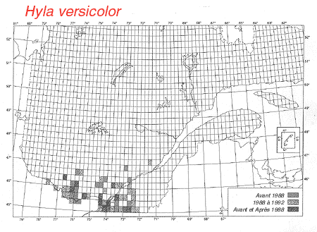 carte.gif