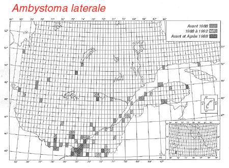 carte.gif