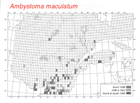 carte.gif