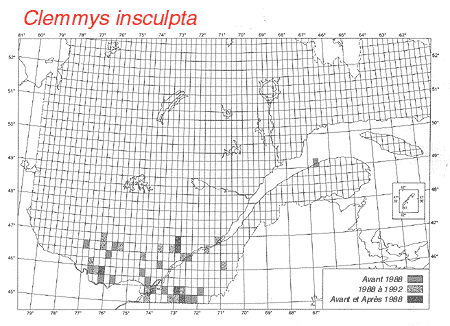 carte.gif