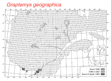 carte.gif