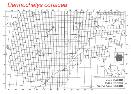 carte.gif