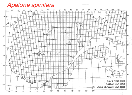 carte.gif