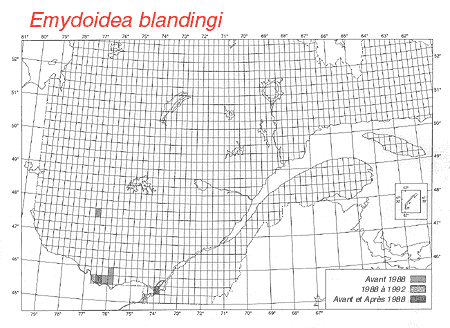 carte.gif