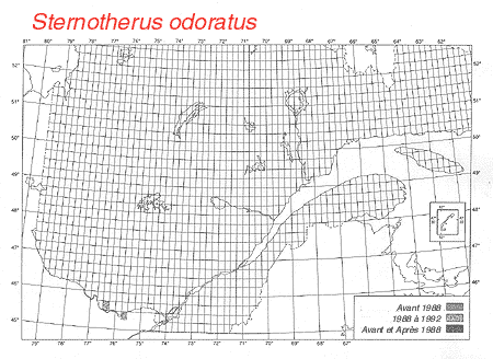 carte.gif