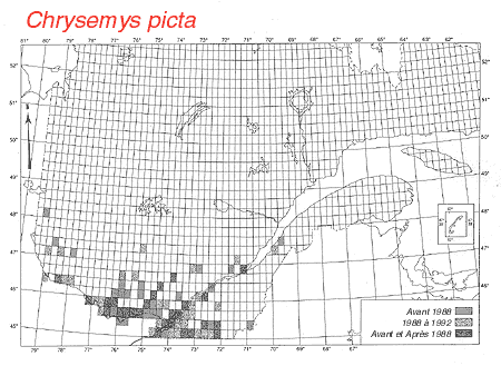 carte.gif