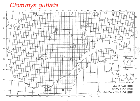carte.gif