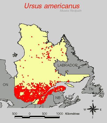 carte.gif