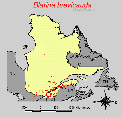 carte.gif