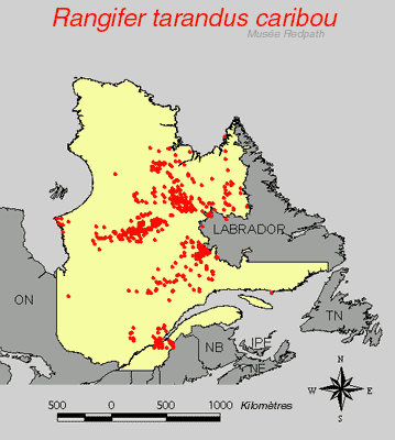 carte.gif