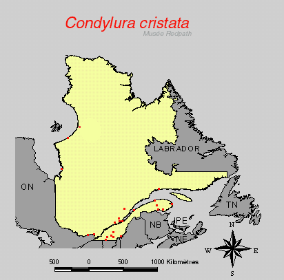 carte.gif