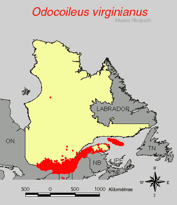 carte.gif