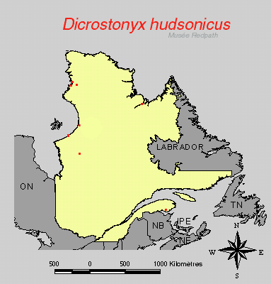 carte.gif