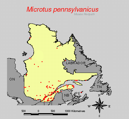 carte.gif
