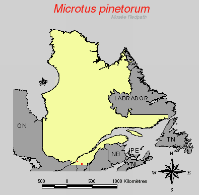 carte.gif