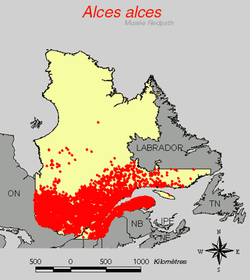 carte.gif