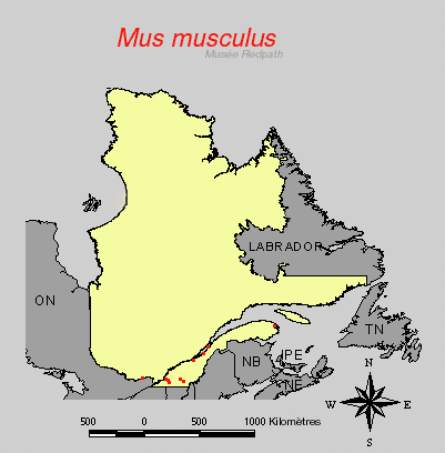 carte.gif