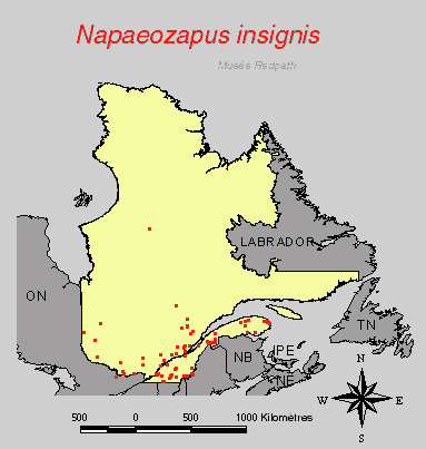 carte.gif