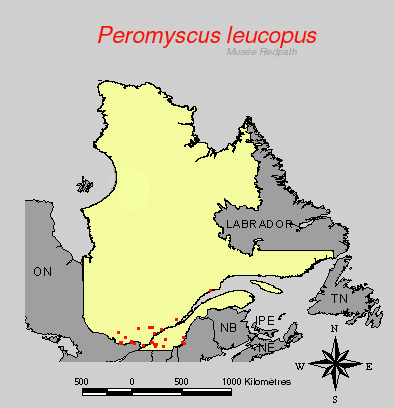 carte.gif