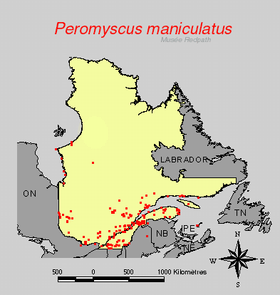 carte.gif