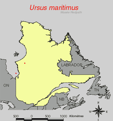 carte.gif