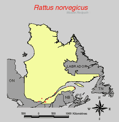 carte.gif