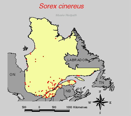 carte.gif