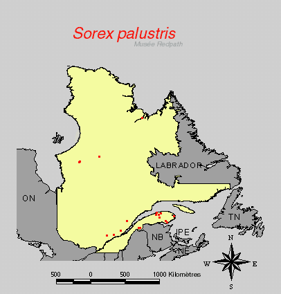 carte.gif
