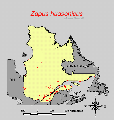 carte.gif