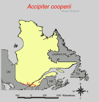 carte.gif