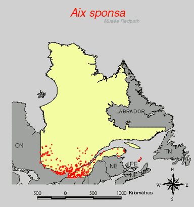 carte.gif