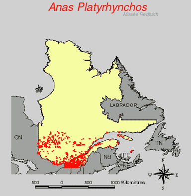 carte.gif