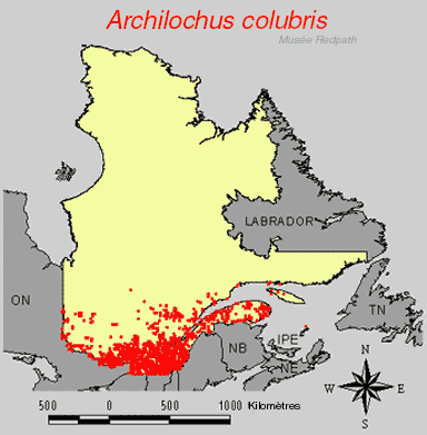 carte.gif