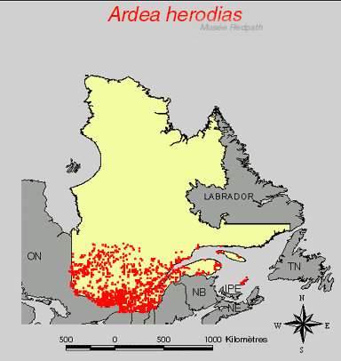 carte.gif