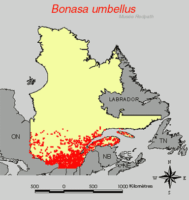carte.gif