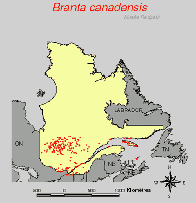 carte.gif