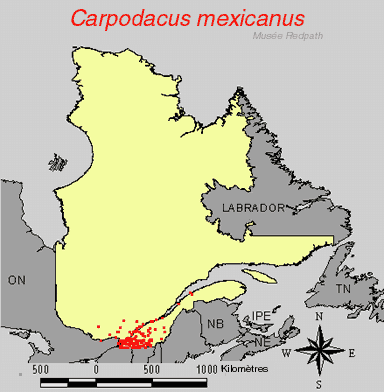 carte.gif