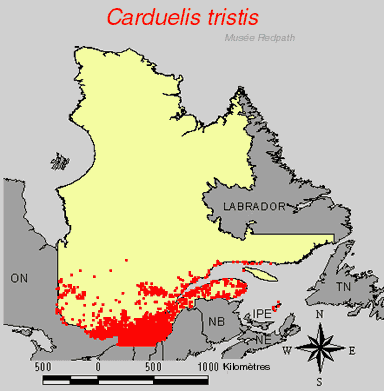 carte.gif