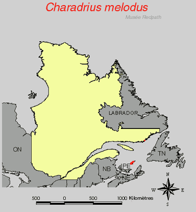 carte.gif