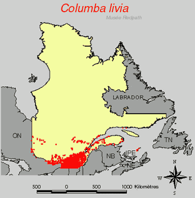 carte.gif