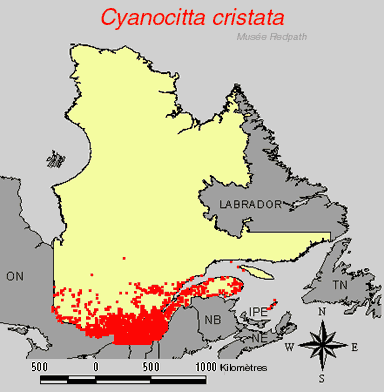 carte.gif