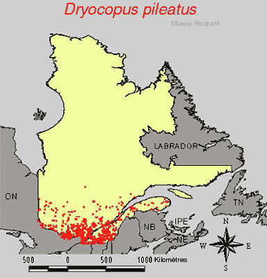 carte.gif